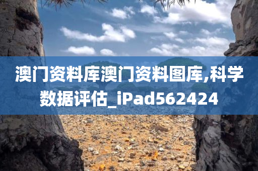 澳门资料库澳门资料图库,科学数据评估_iPad562424