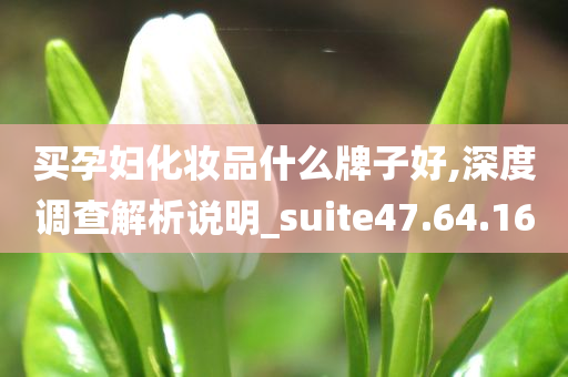 买孕妇化妆品什么牌子好,深度调查解析说明_suite47.64.16