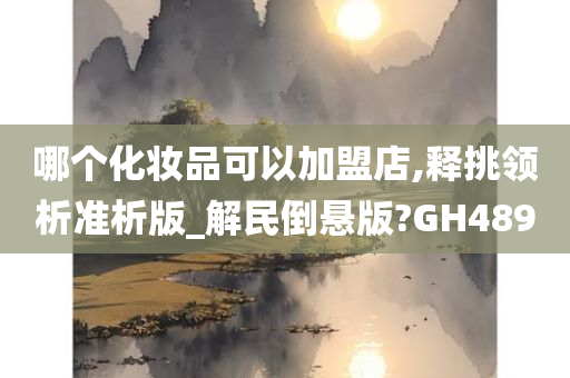 哪个化妆品可以加盟店,释挑领析准析版_解民倒悬版?GH489