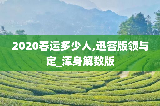 2020春运多少人,迅答版领与定_浑身解数版