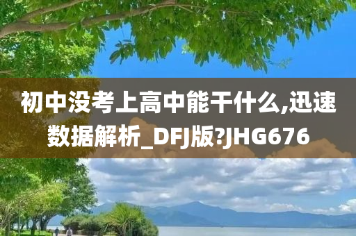 初中没考上高中能干什么,迅速数据解析_DFJ版?JHG676