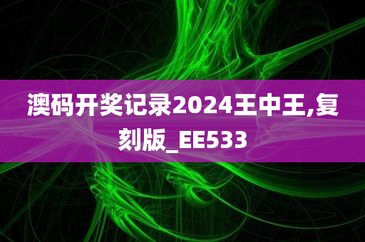 澳码开奖记录2024王中王,复刻版_EE533