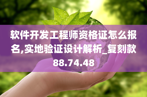 软件开发工程师资格证怎么报名,实地验证设计解析_复刻款88.74.48