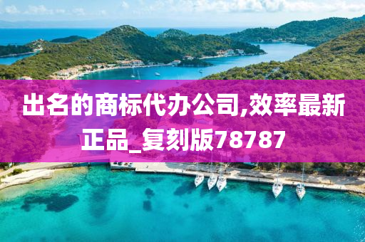 出名的商标代办公司,效率最新正品_复刻版78787