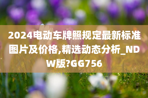 2024电动车牌照规定最新标准图片及价格,精选动态分析_NDW版?GG756