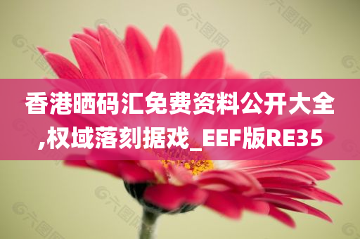 香港晒码汇免费资料公开大全,权域落刻据戏_EEF版RE35