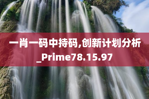 一肖一码中持码,创新计划分析_Prime78.15.97