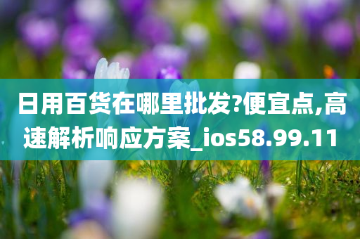 日用百货在哪里批发?便宜点,高速解析响应方案_ios58.99.11