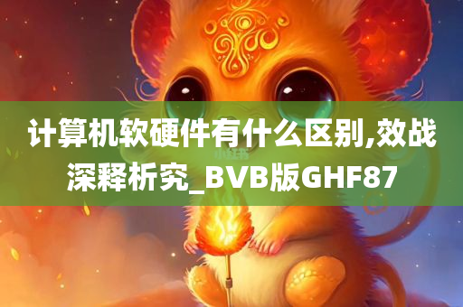 计算机软硬件有什么区别,效战深释析究_BVB版GHF87