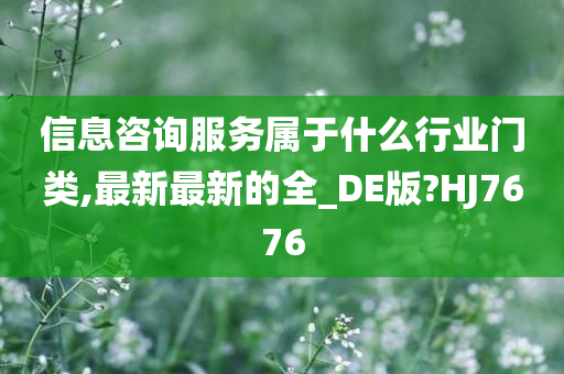 信息咨询服务属于什么行业门类,最新最新的全_DE版?HJ7676