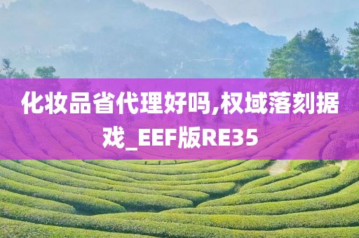 化妆品省代理好吗,权域落刻据戏_EEF版RE35