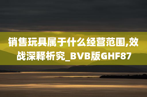 销售玩具属于什么经营范围,效战深释析究_BVB版GHF87