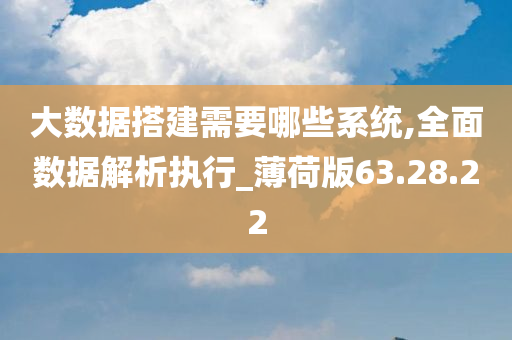 大数据搭建需要哪些系统,全面数据解析执行_薄荷版63.28.22