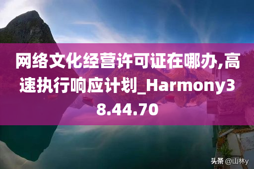 网络文化经营许可证在哪办,高速执行响应计划_Harmony38.44.70