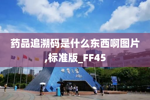 药品追溯码是什么东西啊图片,标准版_FF45