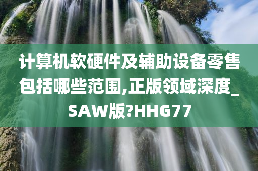 计算机软硬件及辅助设备零售包括哪些范围,正版领域深度_SAW版?HHG77