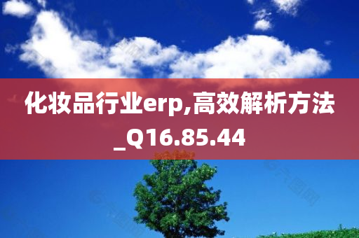 化妆品行业erp,高效解析方法_Q16.85.44