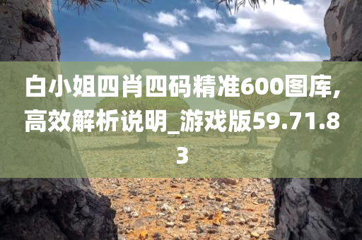 白小姐四肖四码精准600图库,高效解析说明_游戏版59.71.83