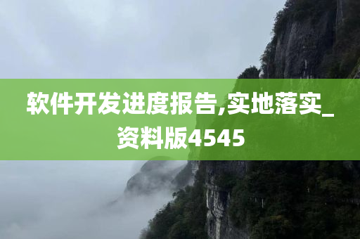 软件开发进度报告,实地落实_资料版4545