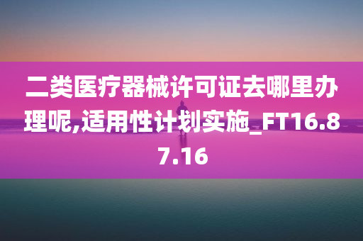 二类医疗器械许可证去哪里办理呢,适用性计划实施_FT16.87.16