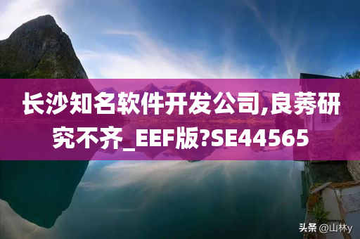 长沙知名软件开发公司,良莠研究不齐_EEF版?SE44565