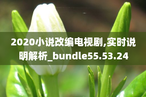 2020小说改编电视剧,实时说明解析_bundle55.53.24