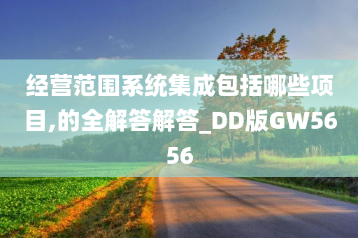 经营范围系统集成包括哪些项目,的全解答解答_DD版GW5656