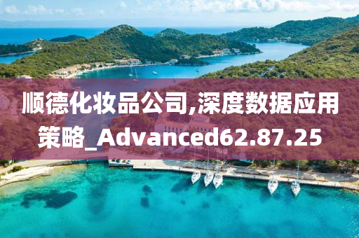 顺德化妆品公司,深度数据应用策略_Advanced62.87.25