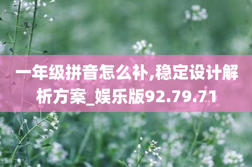 一年级拼音怎么补,稳定设计解析方案_娱乐版92.79.71