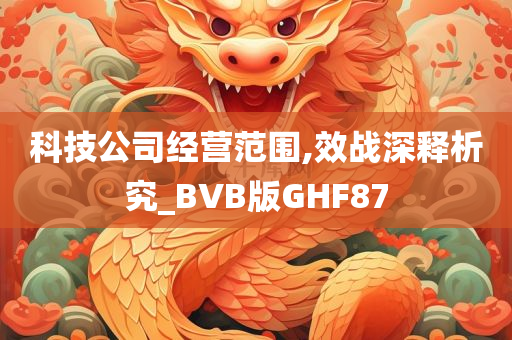 科技公司经营范围,效战深释析究_BVB版GHF87