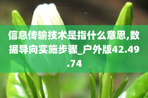 信息传输技术是指什么意思,数据导向实施步骤_户外版42.49.74