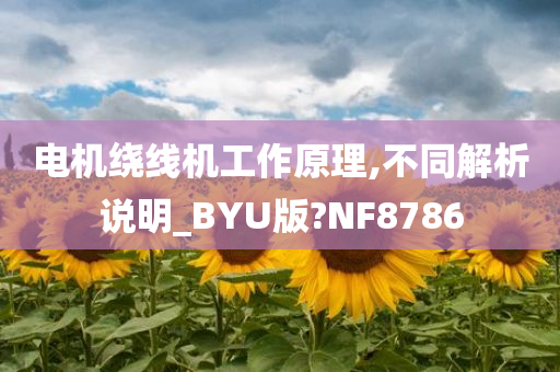 电机绕线机工作原理,不同解析说明_BYU版?NF8786