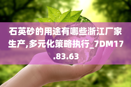 石英砂的用途有哪些浙江厂家生产,多元化策略执行_7DM17.83.63