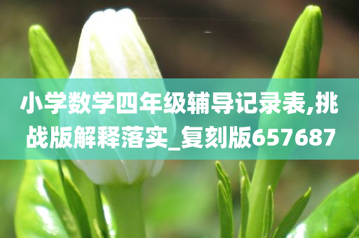 小学数学四年级辅导记录表,挑战版解释落实_复刻版657687