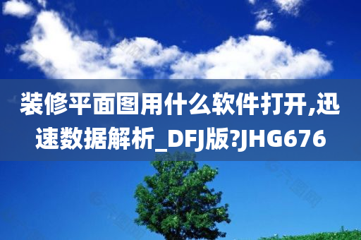 装修平面图用什么软件打开,迅速数据解析_DFJ版?JHG676