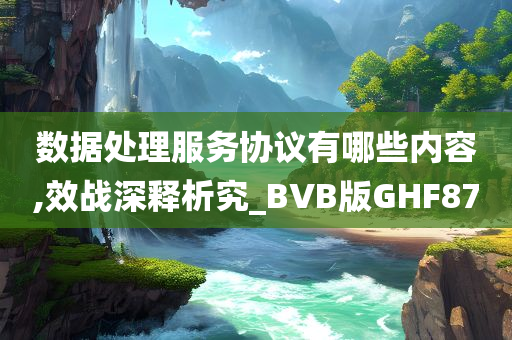 数据处理服务协议有哪些内容,效战深释析究_BVB版GHF87