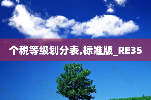 个税等级划分表,标准版_RE35