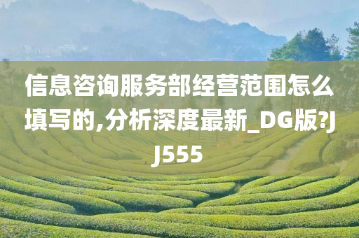 信息咨询服务部经营范围怎么填写的,分析深度最新_DG版?JJ555