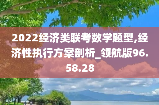 2022经济类联考数学题型,经济性执行方案剖析_领航版96.58.28