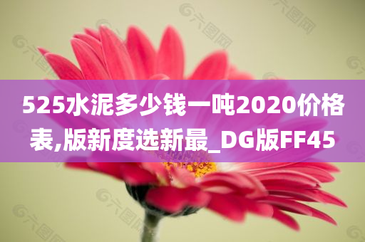 525水泥多少钱一吨2020价格表,版新度选新最_DG版FF45