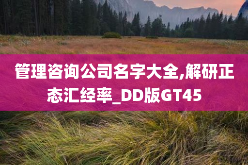 管理咨询公司名字大全,解研正态汇经率_DD版GT45