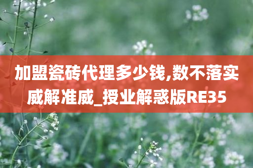 加盟瓷砖代理多少钱,数不落实威解准威_授业解惑版RE35