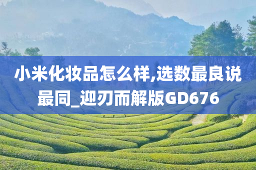 小米化妆品怎么样,选数最良说最同_迎刃而解版GD676