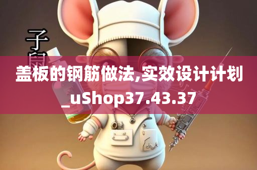 盖板的钢筋做法,实效设计计划_uShop37.43.37