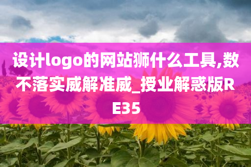 设计logo的网站狮什么工具,数不落实威解准威_授业解惑版RE35