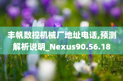 丰帆数控机械厂地址电话,预测解析说明_Nexus90.56.18