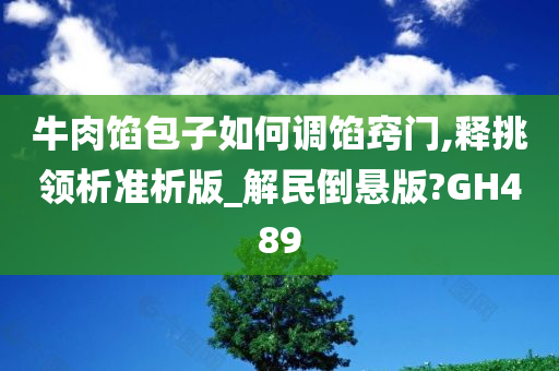 牛肉馅包子如何调馅窍门,释挑领析准析版_解民倒悬版?GH489