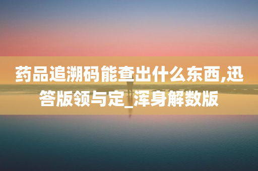 药品追溯码能查出什么东西,迅答版领与定_浑身解数版