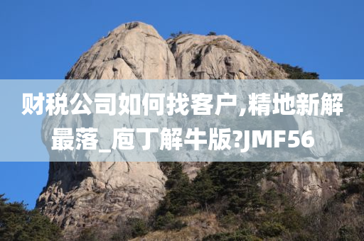 财税公司如何找客户,精地新解最落_庖丁解牛版?JMF56