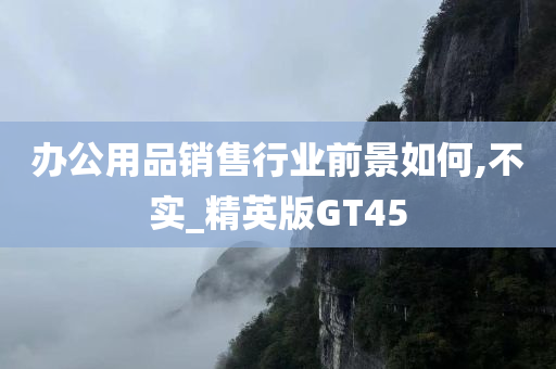 办公用品销售行业前景如何,不实_精英版GT45